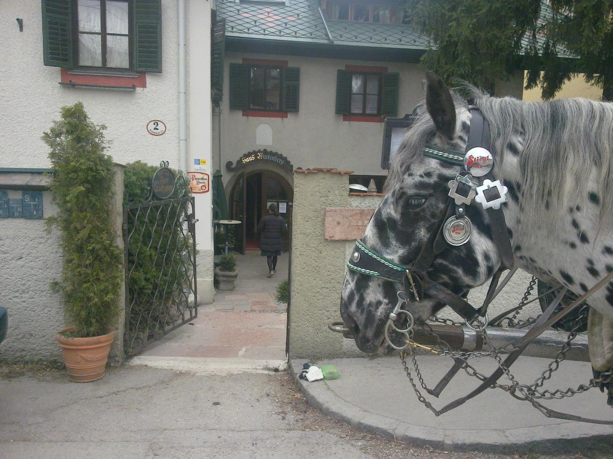 Haus Wartenberg Hotel Salzburg Eksteriør billede